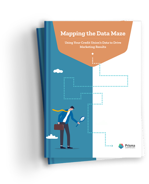 Mapping the Data Maze. Using Your Credit Union's Data to Drive Marketing Results