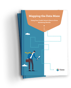 Mapping the Data Maze. Using your credit union's data to Drive Marketing Results