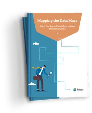 Mapping the Data Maze. Using Your Credit Union's Data to Drive Marketing Results