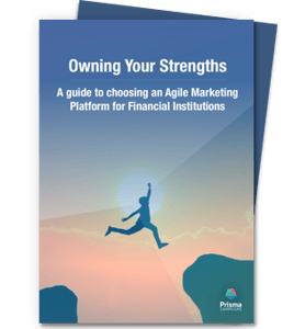 Owning Your Strengths - A guide to choosing an Agile Marketing Platform for Financial Institutions